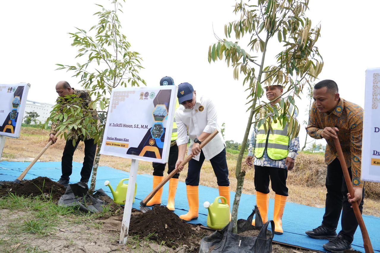 Menko Pangan Zulkifli Hasan saat menanam durian. (Dok. Istimewa)