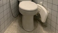 Sekarang tampilan kamar mandinya menjadi lebih minimalis dan kekinian. Bahkan ditambahkan tanaman palsu agar tidak terlihat kosong. Upgrade yang paling terlihat adalah kali ini ada beberapa perangkat yang ramah disabilitas seperti grip bars atau pegangan logam yang membantu ketika hendak duduk atau berdiri di toilet serta foldable shower bench di bawah showernya untuk anaknya duduk ketika mandi. Foto: Via @dpockethouse