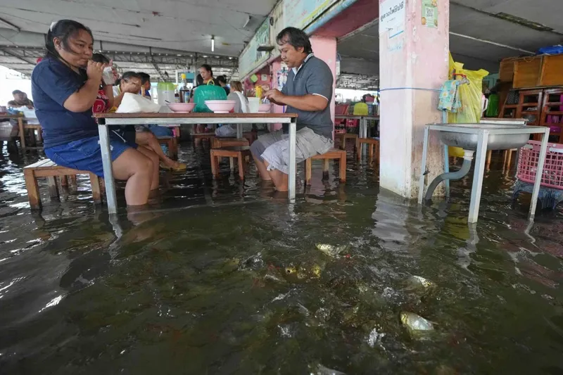 Petaka Membawa Berkah? Resto Ini Raup Omzet 2 Kali Lipat Gegara Kebanjiran Resto di Thailand ini laris manis gegara terendam banjir dari sungai yang meluap.