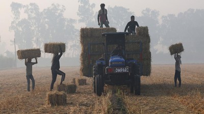 Petani Punjab Olah Jerami Padi Demi Solusi Bersih dan Bernilai Ekonomi