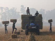 Petani Punjab Olah Jerami Padi Demi Solusi Bersih dan Bernilai Ekonomi