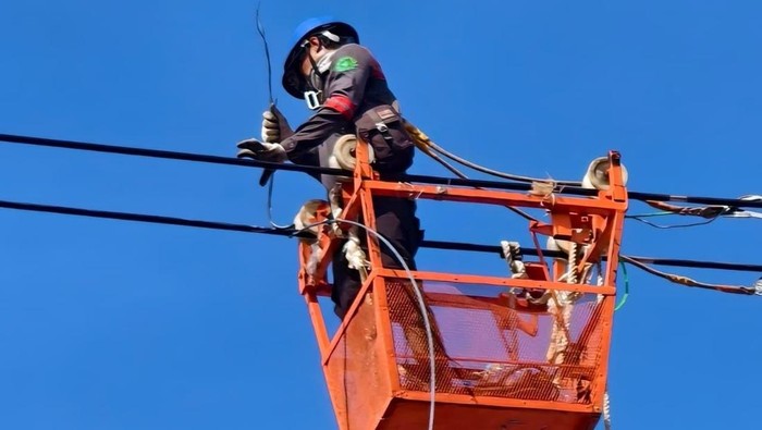 Petugas PLN melakukan inspeksi ke Saluran Udara Tegangan Tinggi 150 kV Jalur Karet Lama - Angke paska kebakaran (16/11)