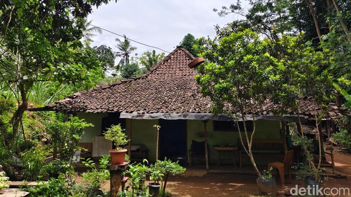 Rumah milik Sardiyono yang akses jalannya hanya berupa jalan setapak di pinggir sawah.