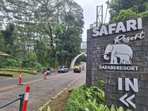 Strategi Taman Safari Jaga Keberlanjutan Satwa, Ada Bank Sperma