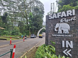 Strategi Taman Safari Jaga Keberlanjutan Satwa, Ada Bank Sperma