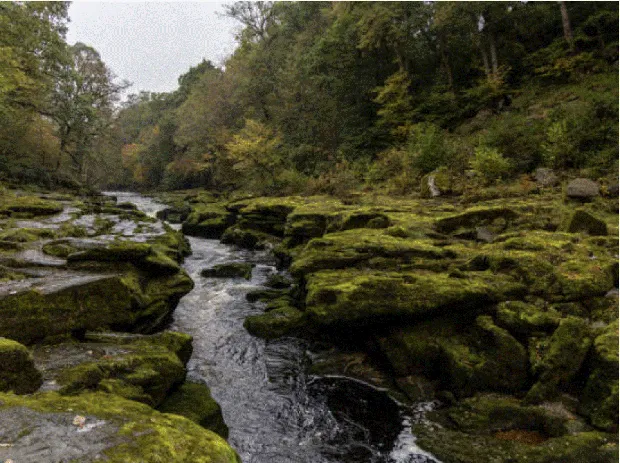 The Strid