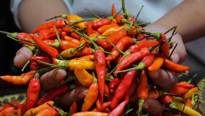 Harga Sembako Jogja Hari Ini 18 November 2025: Cabai Rawit Hijau-Merah Naik!