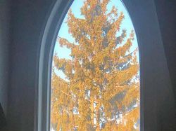 Deretan Foto Terlihat Sempurna, Satisfying Buat yang Perfeksionis