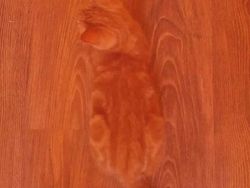 Deretan Foto Terlihat Sempurna, Satisfying Buat yang Perfeksionis