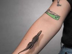 Deretan Foto Terlihat Sempurna, Satisfying Buat yang Perfeksionis