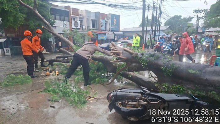Hujan deras disertai angin di Kabupaten Bogor mengakibatkan pohon tumbang hingga papan reklame ambruk, Selasa (18/11/2025).