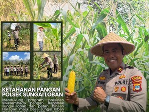 Pengabdian Iptu Kity di Kalsel, Berdayakan Petani hingga Tindak Mafia Tanah