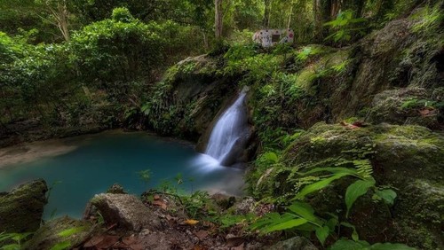 Keindahan Air Terjun Tesbatan Tingkatan Pertama, Kupang, NTT. (Tangkap Layar Google Maps/Khoiri/2020)