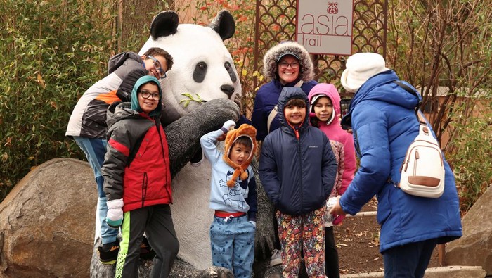 A tiger is reflected in the water at its enclosure at the National Zoo as Smithsonian facilities continue reopening following the longest government shutdown in U.S. history, in Washington, D.C., U.S., November 17, 2025. REUTERS/Kevin Lamarque TPX IMAGES OF THE DAY