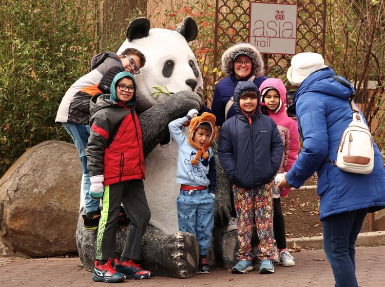National Zoo Hidup Lagi Setelah Penutupan Pemerintah AS Berakhir