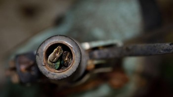 Rumah Unik karya Vidyun Hebbar Foto: Nature Photographer of the Year