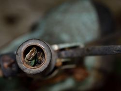 Karya Magis Pemenang Nature Photographer 2025 Bikin Takjub & Terpana