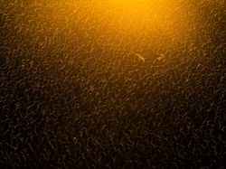 Karya Magis Pemenang Nature Photographer 2025 Bikin Takjub & Terpana