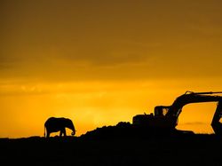 Karya Magis Pemenang Nature Photographer 2025 Bikin Takjub & Terpana