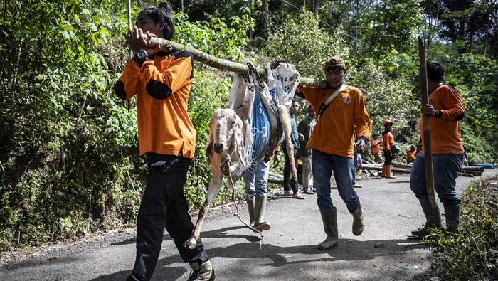 Relawan bersama warga menyelamatkan barang-barang berharga pascabencana tanah longsor di Dusun Situkung, Desa Pandanarum, Kecamatan Pandanarum, Kabupaten Banjarnegara, Jawa Tengah, Selasa (18/11/2025). Tim SAR gabungan bersama warga setempat mulai mengevakuasi hewan ternak, hasil bumi, dan barang-barang berharga guna mengantisipasi tanah longsor susulan. ANTARA FOTO/Aprillio Akbar