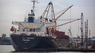 Pelabuhan Batam Makin Sibuk, Kunjungan Kapal Naik 6 Persen