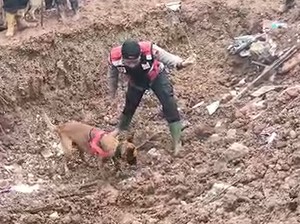 Polda Jateng Kerahkan 378 Anggota-Unit K9 Cari Korban Longsor Banjarnegara