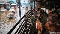 Banjir tersebut disebabkan oleh curah hujan tinggi serta luapan Kali Krukut dan Mampang.