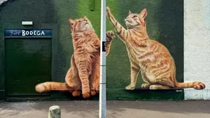 Kumpulan Foto yang Bisa Bikin Kamu Senyum-senyum