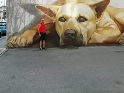 Kumpulan Foto yang Bisa Bikin Kamu Senyum-senyum