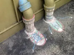 Kumpulan Foto yang Bisa Bikin Kamu Senyum-senyum