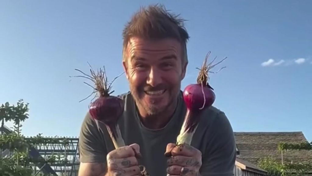Momen David Beckham Pamer Hasil Kebun dan Pelihara Ayam di Belakang Rumah