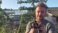 Lihatlah pada video terbarunya, kebuin David Beckham semakin banyak menghasilkan jenis sayuran. Foto: TikTok @davidbeckham