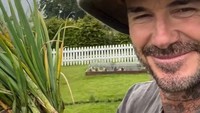 Ini dia hasil panen bawang merah David Beckham. Foto: TikTok @davidbeckham