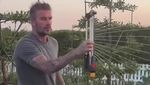 Momen David Beckham Pamer Hasil Kebun dan Pelihara Ayam di Belakang Rumah