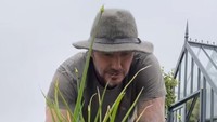 Gak jarang nih lagi asyik merekam kegiatan berkebun, tapi direcokin ayam peliharaannya. Foto: TikTok @davidbeckham
