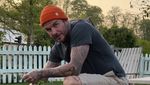 Potret David Beckham yang Hobi Berkebun hingga Ketika Ternak Ayam