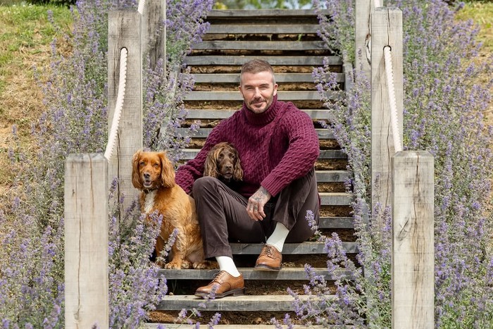david beckham berkebun