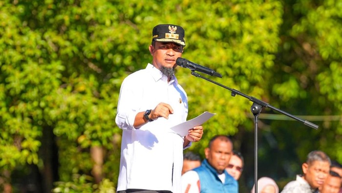 Gubernur Sulsel Andi Sudirman Sulaiman.
