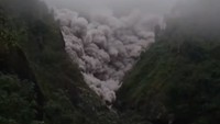 6 Fakta Gunung Semeru Meletus Dahsyat hingga Bikin Warga Teriak Histeris