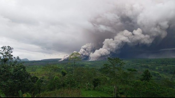 Penampakan Awan Panas Gunung Semeru Meluncur ke Pemukiman