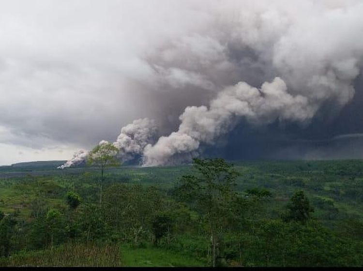 Penampakan Awan Panas Gunung Semeru Meluncur ke Pemukiman