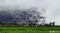 Melihat peningkatan signifikan aktivitas vulkanik, status Gunung Semeru dinaikkan dari Level II (Waspada) menjadi Level III (Siaga) pada pukul 16.00 WIB.