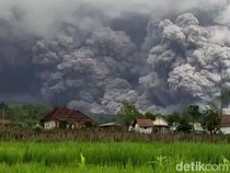 Video Gunung Semeru Erupsi, Saat Awan Panas Meluncur hingga 5,5 Km