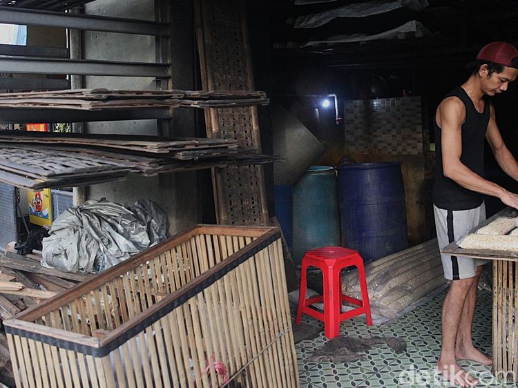 Harga Kedelai Merangkak Naik