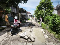 Kesal Jalan Rusak, Warga Poncoharjo Demak Tanami Pohon Pisang