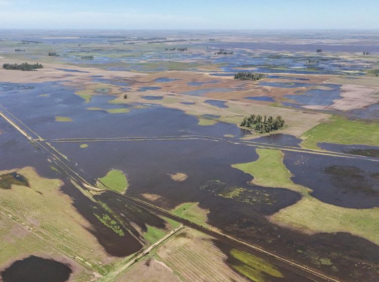 Jutaan Hektare Lahan Pertanian di Buenos Aires Terendam Banjir