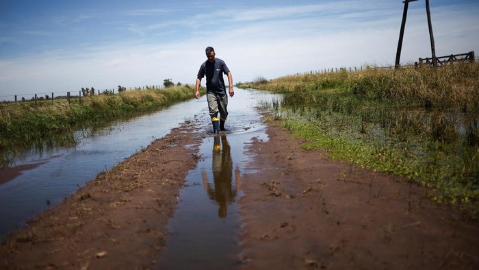 A drone view shows floodwater covering agricultural fields in 12 de Octubre, where excessive rains have left more than 1.5 million hectares at risk of remaining unproductive, in Buenos Aires province, Argentina, November 17, 2025. REUTERS/Agustin Marcarian