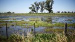 Jutaan Hektare Lahan Pertanian di Buenos Aires Terendam Banjir