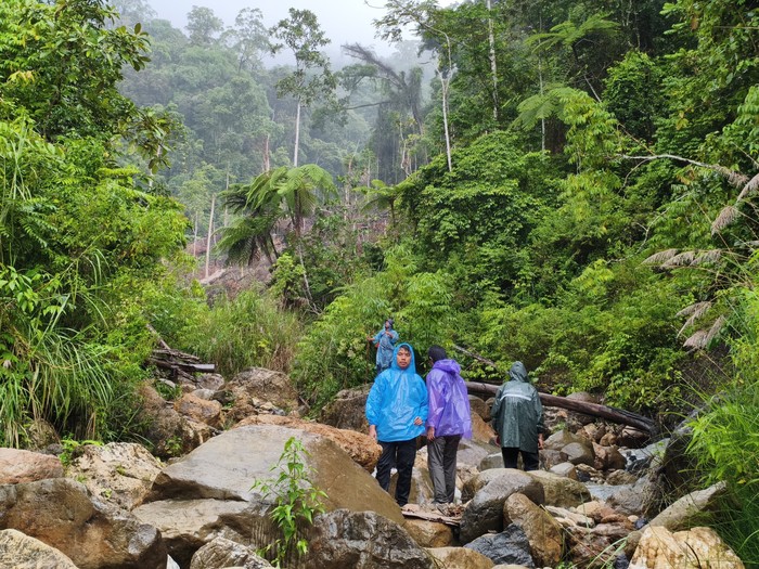 Medan berat yang ditempuh polisi untuk memusnahkan ladang ganja di Aceh (Kurniawan/detikcom)