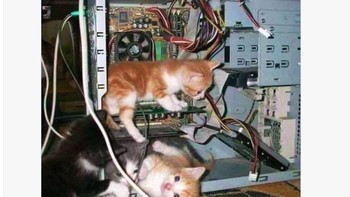 Meme populer yang menampilkan anak-anak kucing di dalam casing komputer, digunakan warganet untuk menyindir kondisi teknis Cloudflare yang dianggap “berantakan” saat insiden terjadi. Foto: X.com